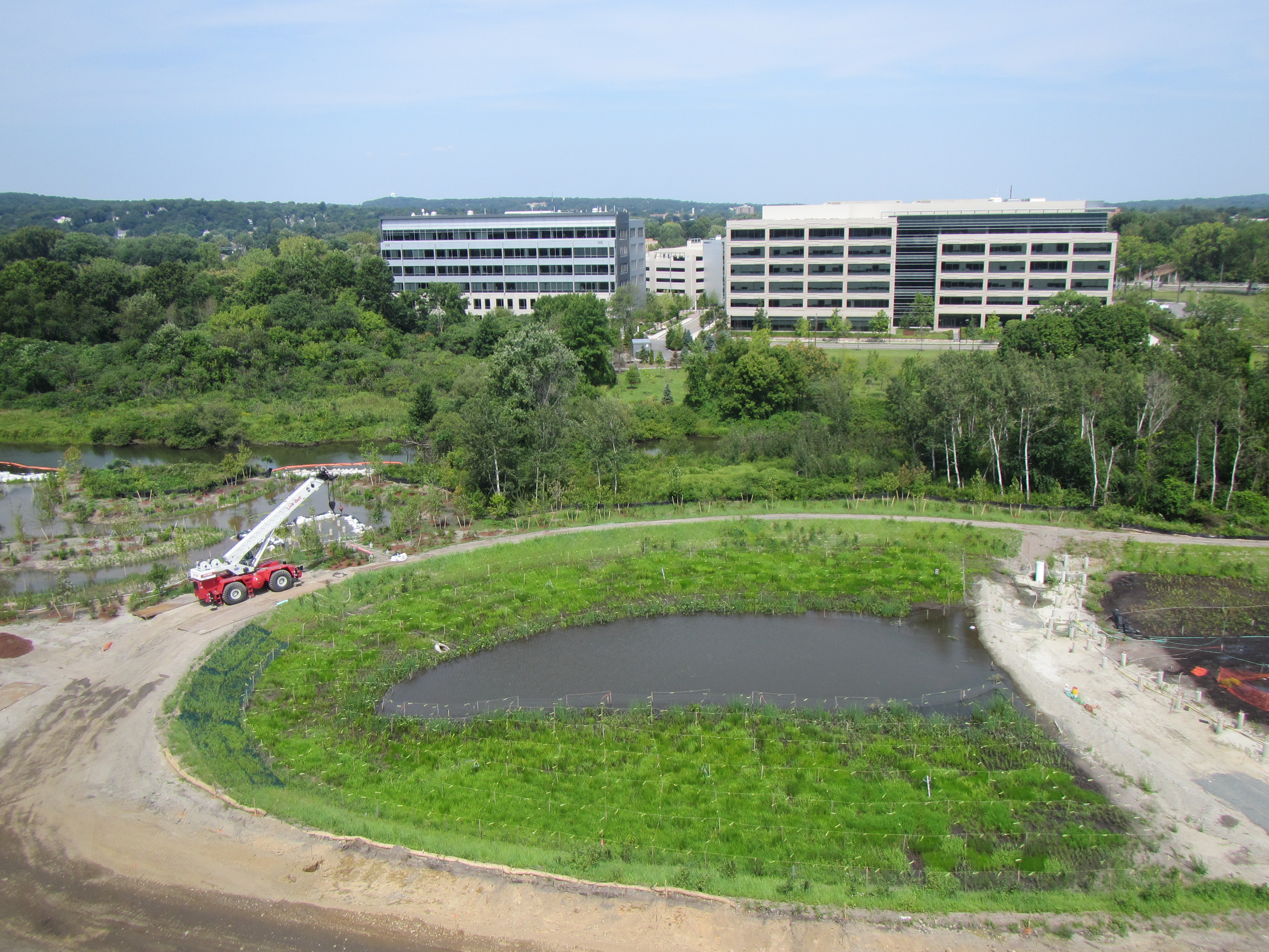 western edge of wetland basin_August 24 2012